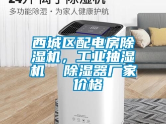 企业动态西城区配电房除湿机，工业抽湿机  除湿器厂家 价格