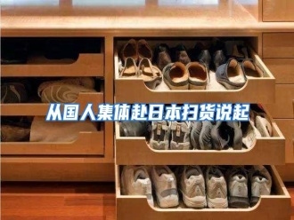 知识百科从国人集体赴日本扫货说起