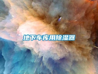 行业资讯地下车库用除湿器