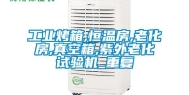 工业烤箱,恒温房,老化房,真空箱,紫外老化试验机_重复