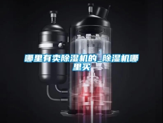 行业资讯哪里有卖除湿机的_除湿机哪里买