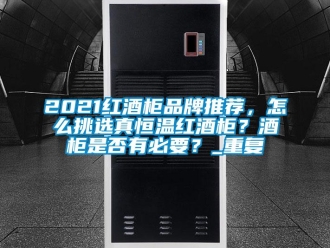 常见问题2021红酒柜品牌推荐，怎么挑选真恒温红酒柜？酒柜是否有必要？_重复