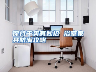 企业动态保持干爽有妙招 浴室家具防潮攻略