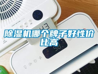 常见问题除湿机哪个牌子好性价比高