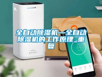 行业资讯全自动除湿机—全自动除湿机的工作原理_重复