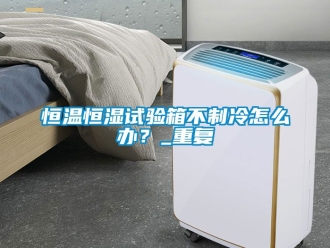 知识百科恒温恒湿试验箱不制冷怎么办？_重复