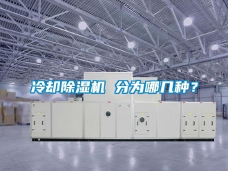 行业资讯冷却除湿机 分为哪几种？