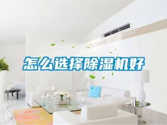 行业资讯怎么选择除湿机好