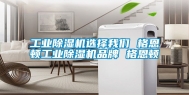 工业除湿机选择我们 格恩顿工业除湿机品牌 格恩顿
