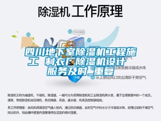 行业资讯四川地下室除湿机工程施工 制衣厂除湿机设计 服务及时_重复