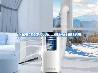 常见问题地板除湿怎么办，杭州舒逸找东井