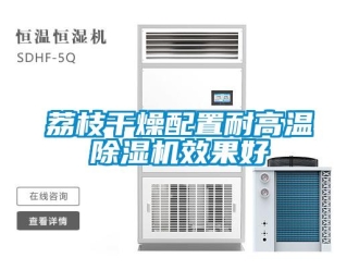 行业资讯荔枝干燥配置耐高温除湿机效果好