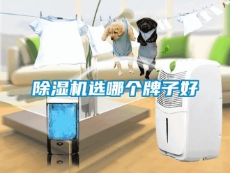 常见问题除湿机选哪个牌子好