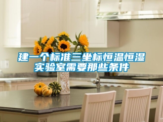 知识百科建一个标准三坐标恒温恒湿实验室需要那些条件