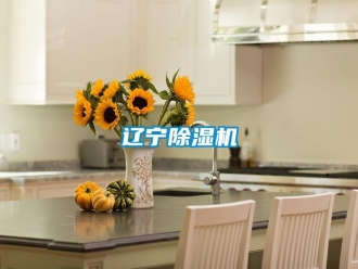 行业资讯辽宁除湿机