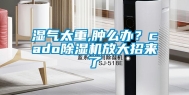 湿气太重,肿么办？cado除湿机放大招来了