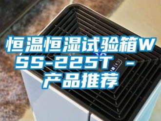 知识百科恒温恒湿试验箱WSS-225T - 产品推荐