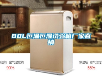 常见问题80L恒温恒湿试验箱厂家直销