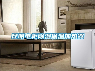 行业资讯昆明电柜除湿保温加热器