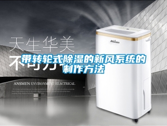 行业资讯带转轮式除湿的新风系统的制作方法