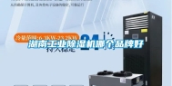 湖南工业除湿机哪个品牌好