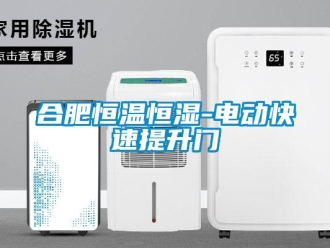 知识百科合肥恒温恒湿-电动快速提升门