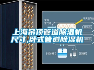 行业资讯上海吊顶管道除湿机尺寸,卧式管道除湿机