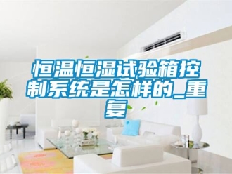 知识百科恒温恒湿试验箱控制系统是怎样的_重复