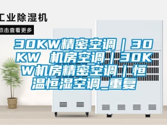 常见问题30KW精密空调｜30KW 机房空调｜30KW机房精密空调｜恒温恒湿空调_重复
