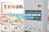 海东防爆型管道防爆除湿机 BCGZ10