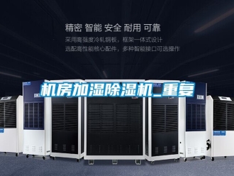 行业资讯机房加湿除湿机_重复