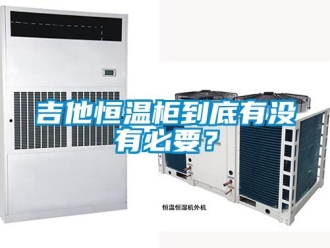 知识百科吉他恒温柜到底有没有必要？