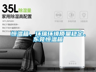 知识百科恒温箱、环瑞环境质量稳定、东莞恒温箱