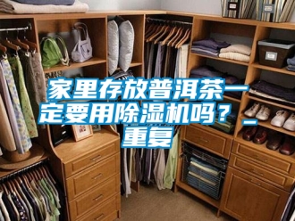 行业资讯家里存放普洱茶一定要用除湿机吗？_重复