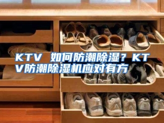常见问题KTV 如何防潮除湿？KTV防潮除湿机应对有方