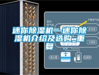 行业资讯迷你除湿机—迷你除湿机介绍及选购_重复
