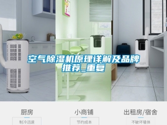 企业动态空气除湿机原理详解及品牌推荐_重复