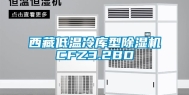西藏低温冷库型除湿机CFZ3.2BD