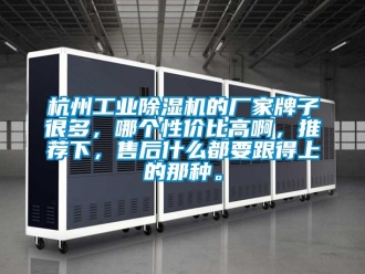 企业动态杭州工业除湿机的厂家牌子很多，哪个性价比高啊，推荐下，售后什么都要跟得上的那种。
