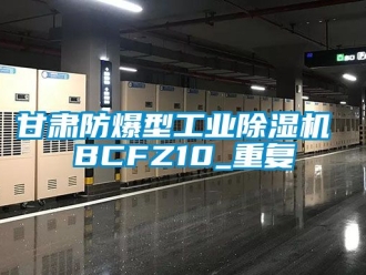 企业动态甘肃防爆型工业除湿机 BCFZ10_重复