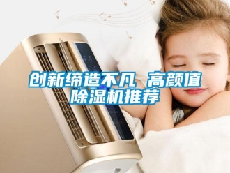 行业资讯创新缔造不凡 高颜值除湿机推荐
