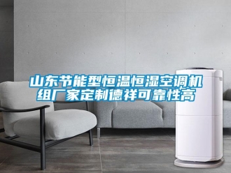 知识百科山东节能型恒温恒湿空调机组厂家定制德祥可靠性高
