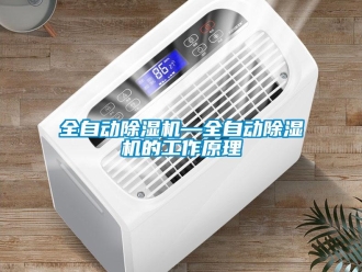 行业资讯全自动除湿机—全自动除湿机的工作原理
