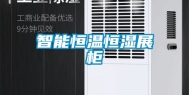 智能恒温恒湿展柜