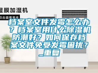 行业资讯档案室文件发霉怎么办？档案室用什么除湿机防潮好？如何保存档案文件免受发霉困扰？_重复