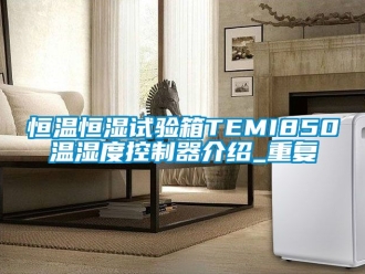 知识百科恒温恒湿试验箱TEMI850温湿度控制器介绍_重复