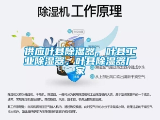 行业资讯供应叶县除湿器，叶县工业除湿器，叶县除湿器厂家