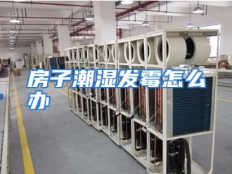 常见问题房子潮湿发霉怎么办
