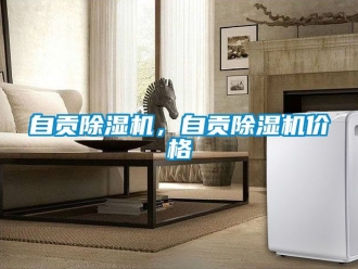 企业动态自贡除湿机，自贡除湿机价格
