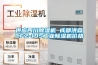 供应四川除湿机 成都洪森CFZ-10S工业除湿机价格